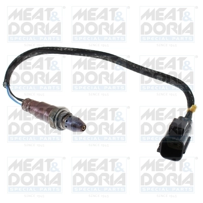 Oxygen Sensor